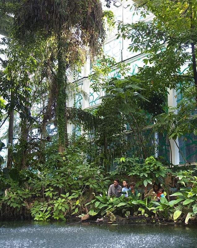 'Bosc Inundat'