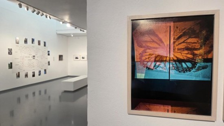Image for Exposició 'Llars en moviment' at Fundació Joan Miró - Museu