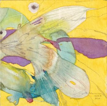 Exposició "MS Assajos d'idees"