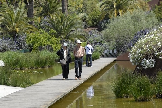 Guided tour of the Jardí Botànic