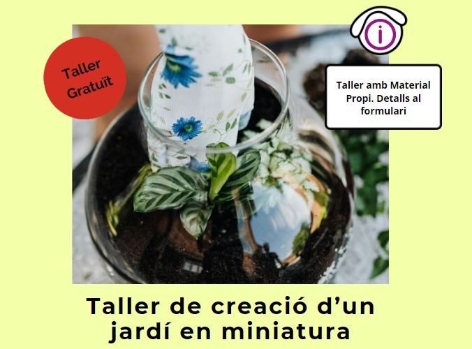 Taller 'Creació d'un jardí en miniatura'