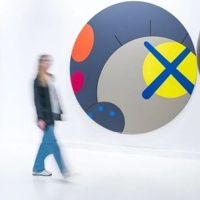 Exhibition 'KAWS'