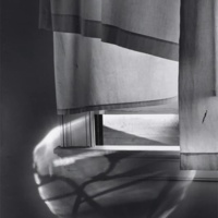 Exhibition 'Minor White'