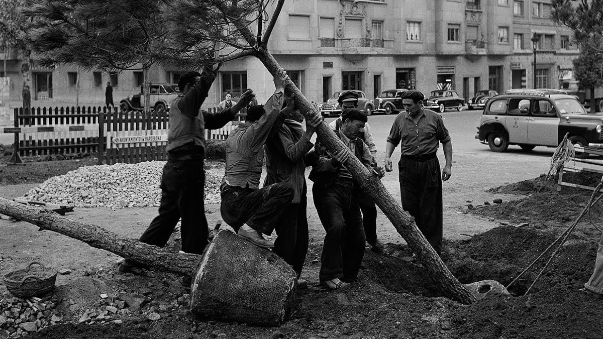 Exposició 'Mirades del verd'