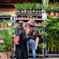 Mercat ocasional "Plantas para todos"