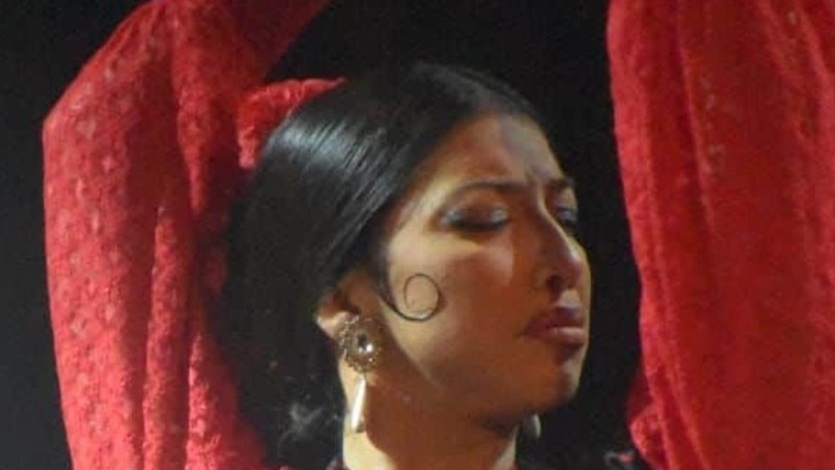 Espectacle "Pureza"