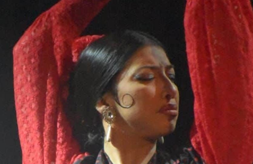 Espectacle "Pureza"
