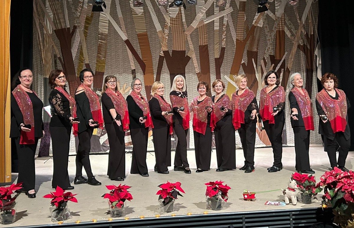 Recital de Castanyoles