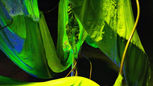 Instal·lació artística "Fosfènica", de Rosa Tharrats