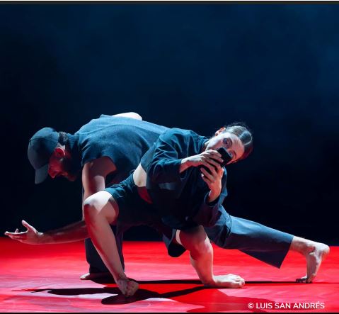 Espectacle "Virtual Sadness + The Sad-Mad Method", amb la Cia. Carla Sisteré