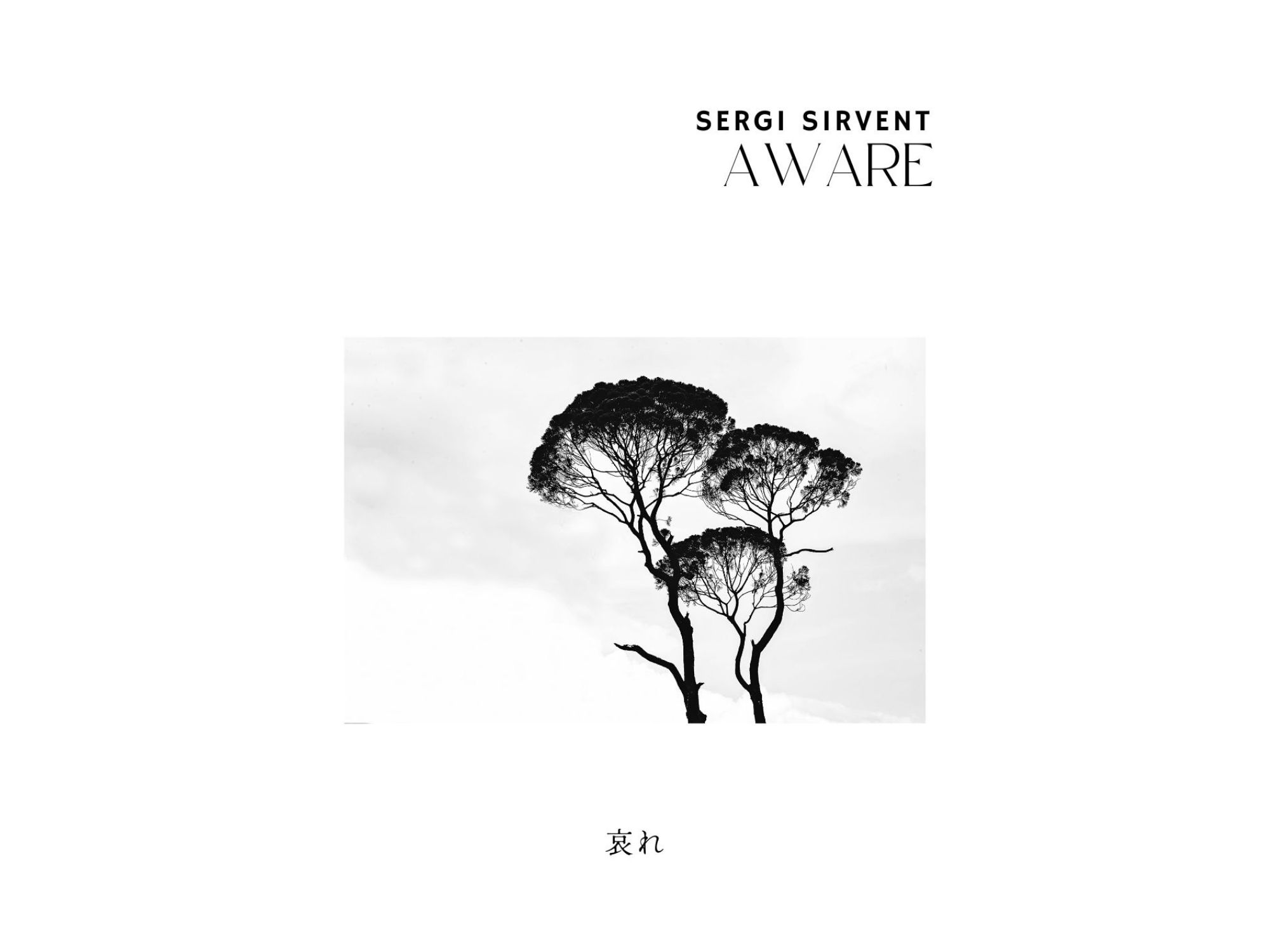 Concert "Sergi Sirvent AWARE"