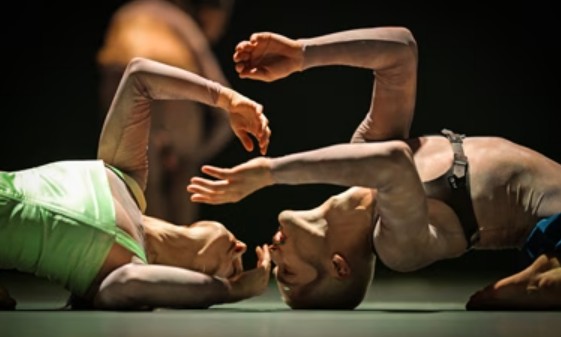 Espectacle "Im Mohnfeld", amb Tanzmainz i Paloma Muñoz
