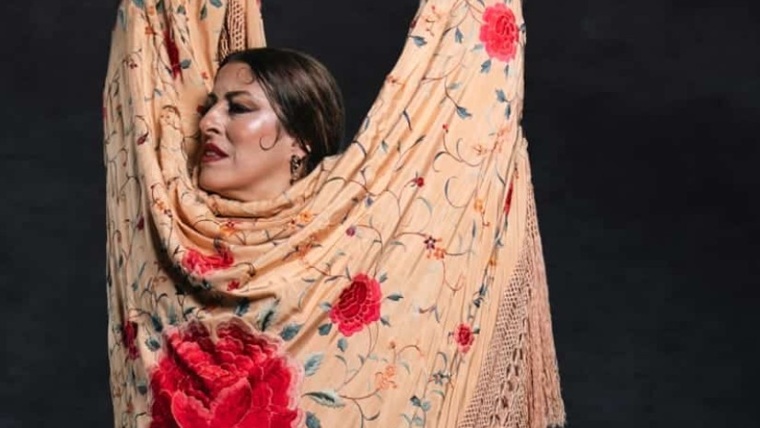 Bild zu Espectacle "Show Flamenco", amb Elena la More i Sergio Barroso in Pl Reial 17.