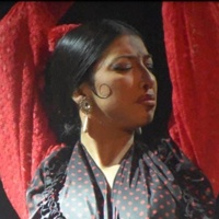 Espectacle "Show Flamenco", amb Lola Reyes