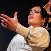 Espectacle "Show Flamenco", amb José Viñas i Rebeca Monasterio