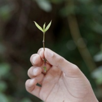 Exhibition 'Assenyala un punt (fora del perímetre de la secció d’un arbre per indicar que ve del futur)', by Lúa Coderch