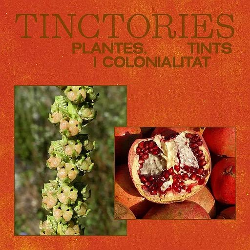 Taller 'Tinctories plantes, tints i colonialitat', amb Sofia Archer i Anisa Matthews