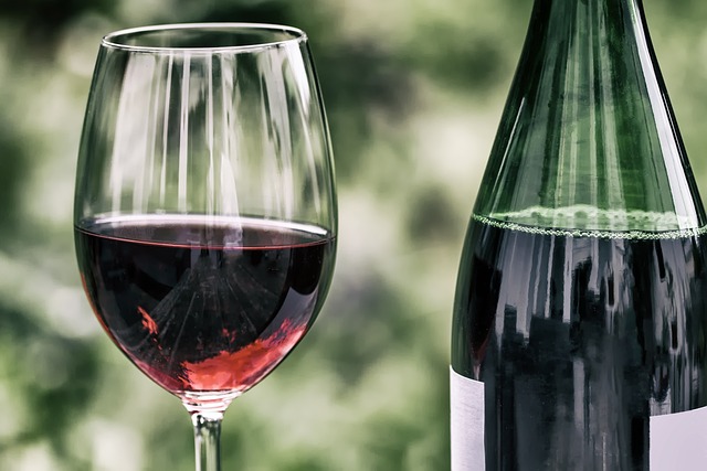 Poblenou Wine Festival (edició especial Copa Amèrica)
