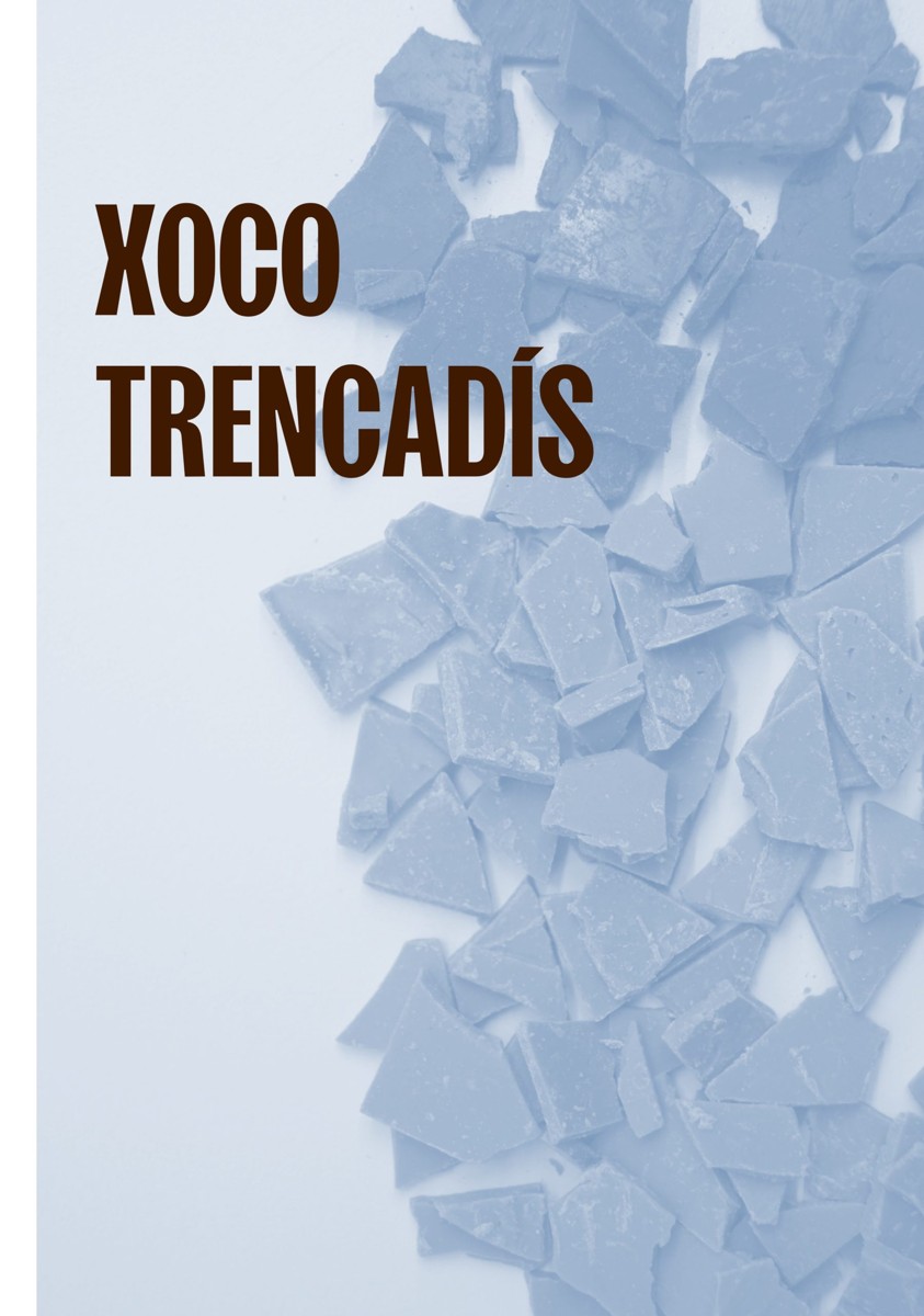 Taller "Xoco Trencadís"